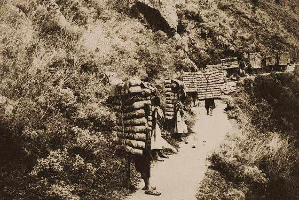 90年代易武茶十大标杆普洱茶,易武贡茶的历史