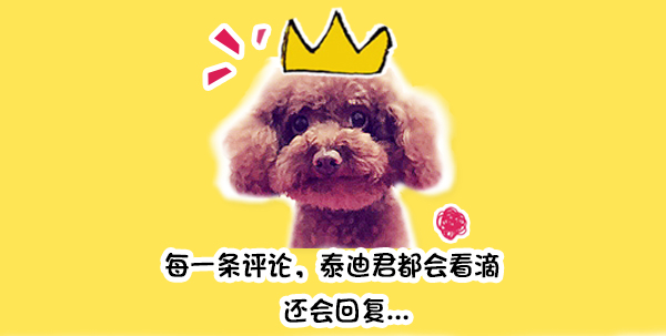 如果你厌倦猫咪平常的模样，就快点把它改造成爆笑的豆豆龙吧