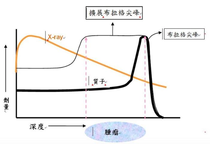 台湾长庚医院质子治疗,重离子放射治疗癌症