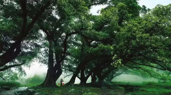 90年代易武茶十大标杆普洱茶,易武贡茶的历史