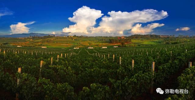 弥勒市旅游必去景点弥勒特色美食,云南弥勒美食百年老店