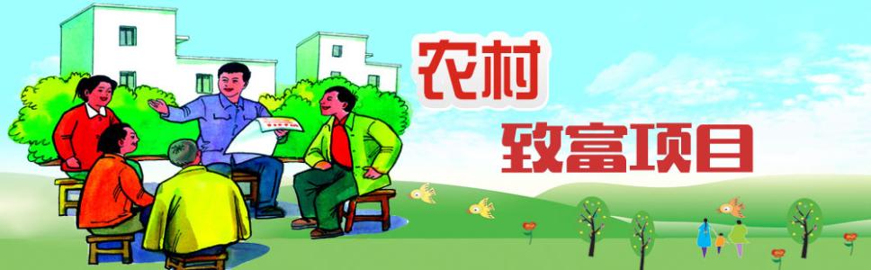 致富需要牺牲的十件事,致富经养鱼的失败经历