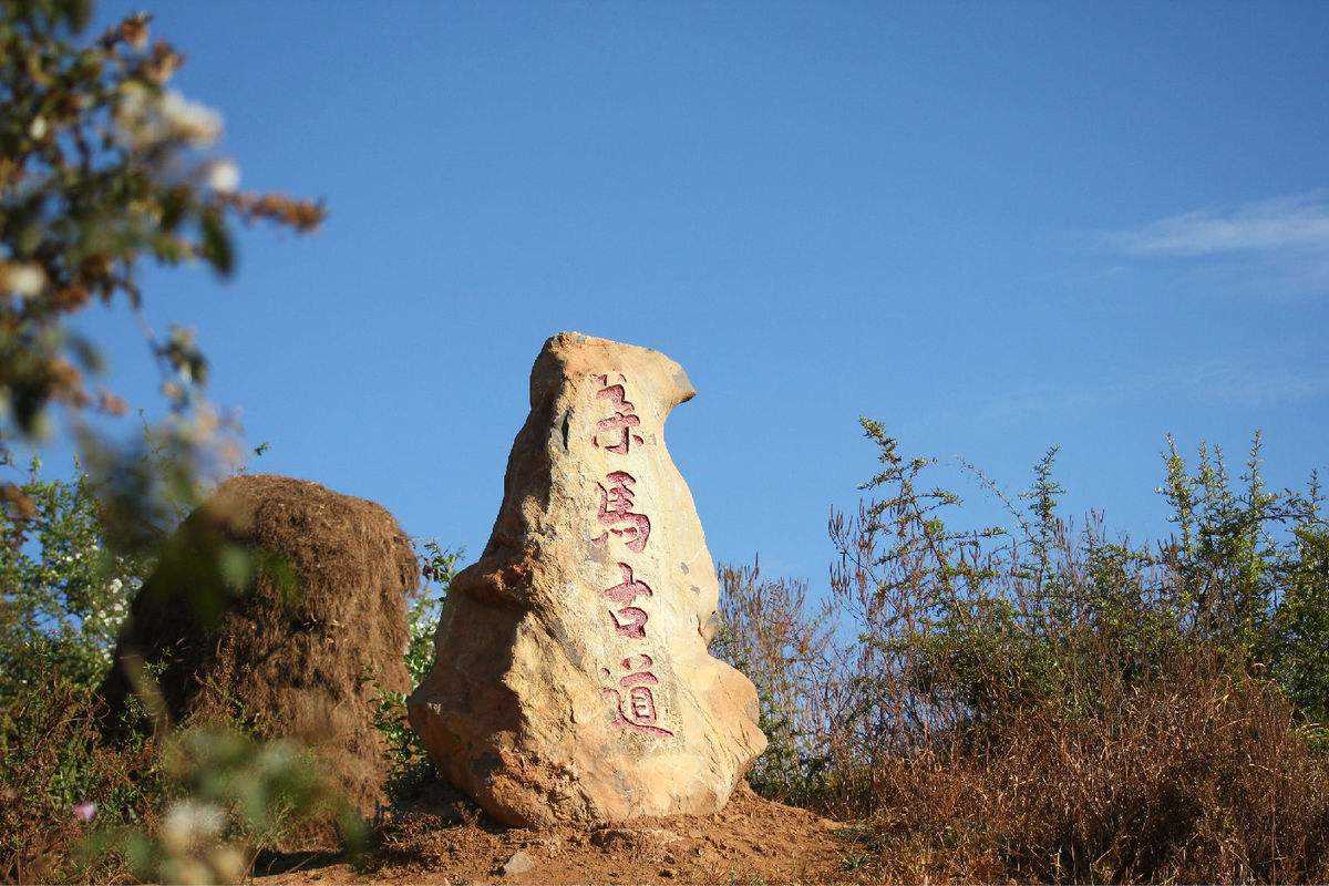 90年代易武茶十大标杆普洱茶,易武贡茶的历史