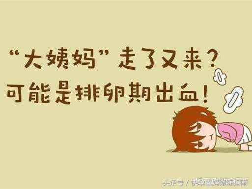 排卵期出血怎么判断是不是大姨妈,备孕期间排卵期出血怎么回事