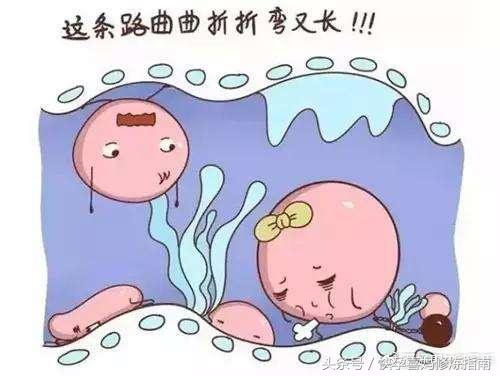 为什么大姨妈没了就不能怀孕了,为什么没来大姨妈也会怀孕