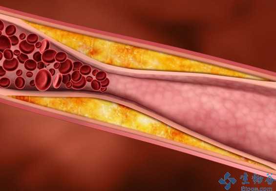 不可忽视的风险有哪些,不可轻视的肝损害免疫性肝炎