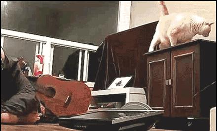 跑步机当跑得很快时怎么关掉,跑步机跑到一定速度打滑