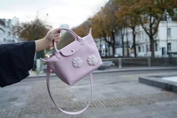 看到这些大牌新出的农历狗年限量款，我笑出了猪叫……