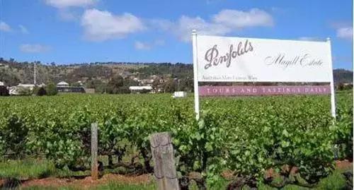 奔富和拉菲齐名吗,奔富与拉菲齐名