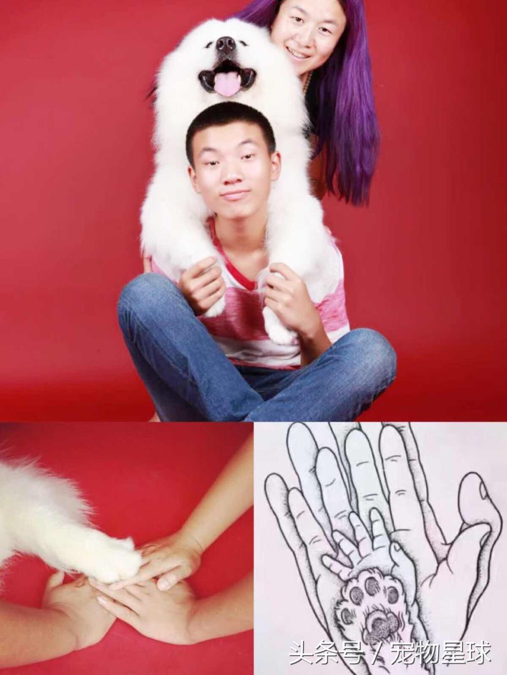 金毛狗有多暖心,狗界暖男金毛