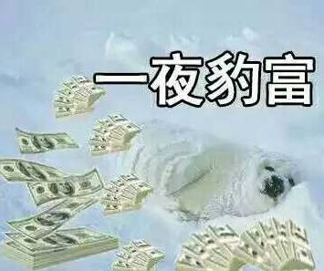 110京妞下嫁凤凰男？不，是高攀了