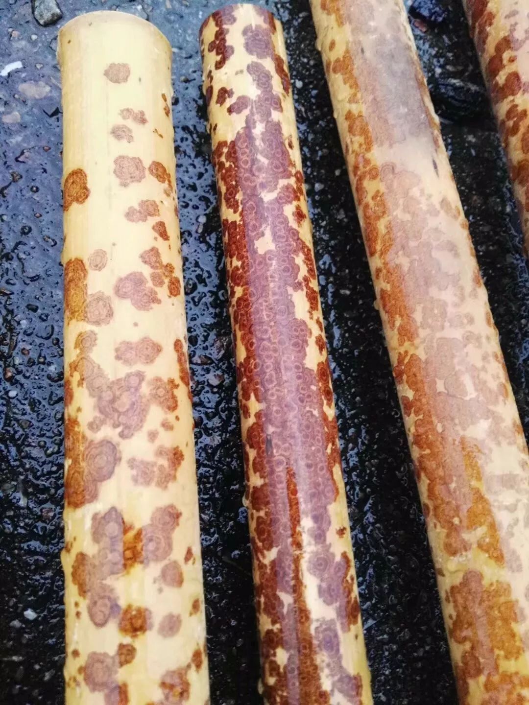 折扇秋扇夏扇,折扇的造扇过程