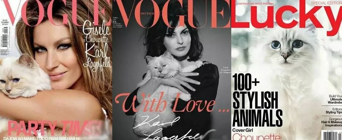 看到这些大牌新出的农历狗年限量款，我笑出了猪叫……