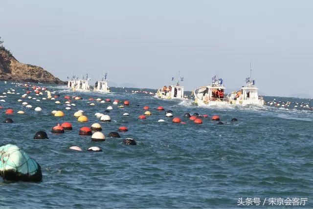 在水下捞海参视频,潜水员捞海参能下潜多少米