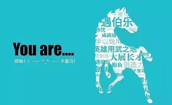 今年首场大型招聘会,大型招聘会最新消息