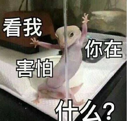 110京妞下嫁凤凰男？不，是高攀了
