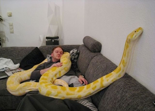 能像这样炸飞机，媳妇对你来说就是累赘