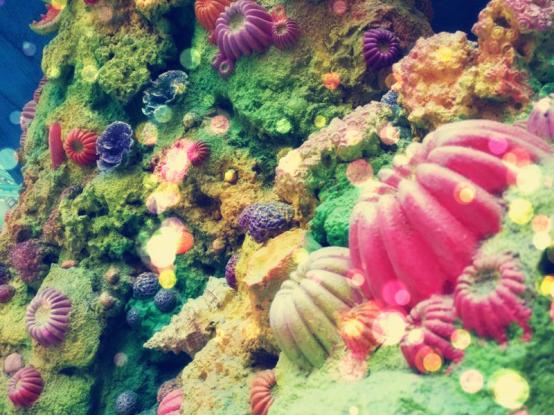 热高海底两万里攻略,海底两万里B1层游玩攻略