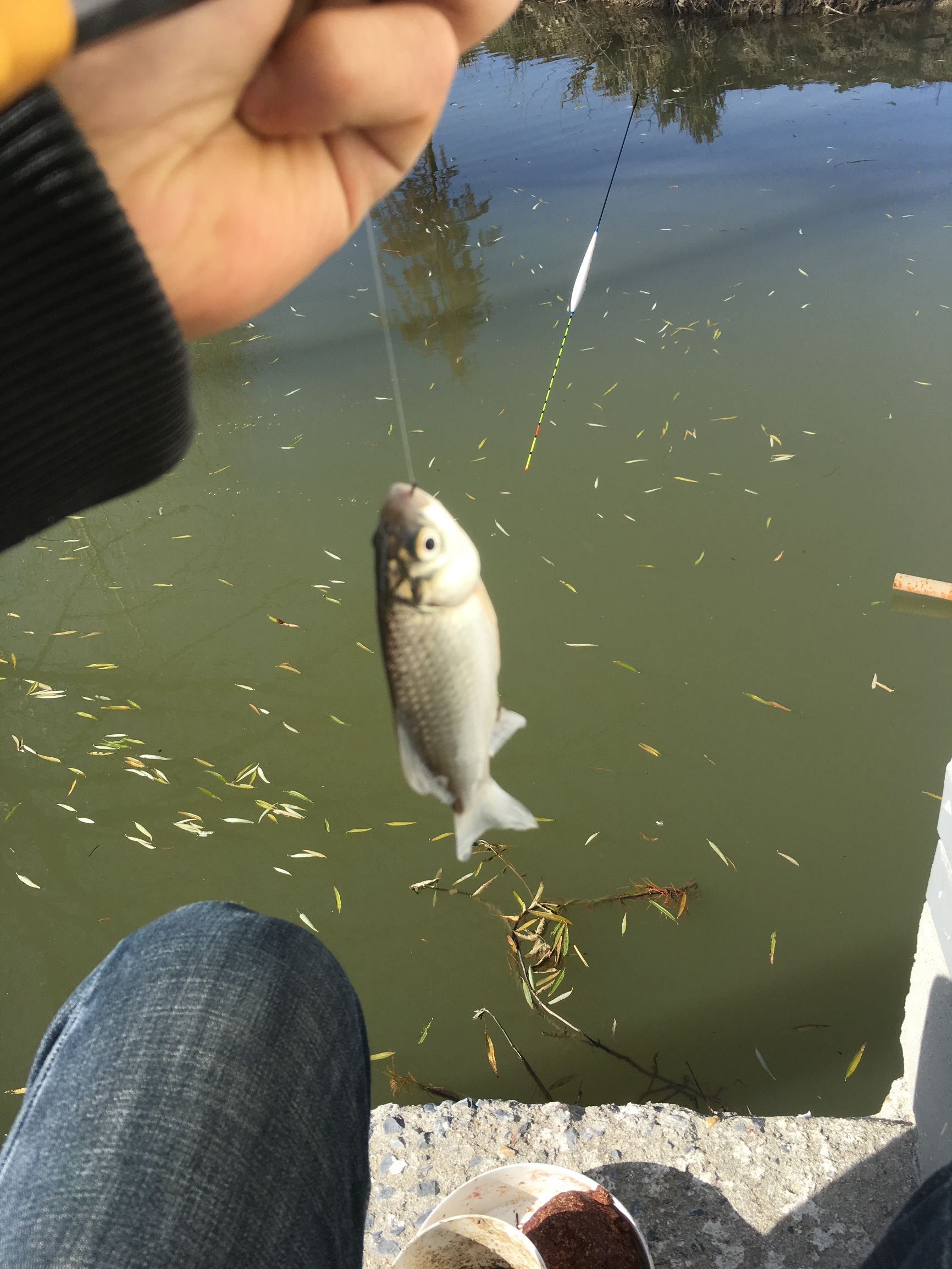 冬季-6℃—4℃大晴天钓鱼，钓友们你们猜渔获会怎么样呢？