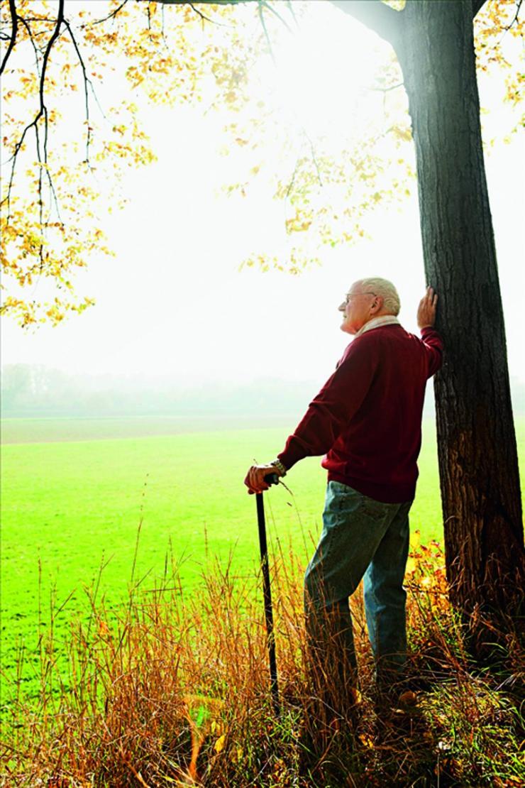 体内探测仪器,人体内平衡器