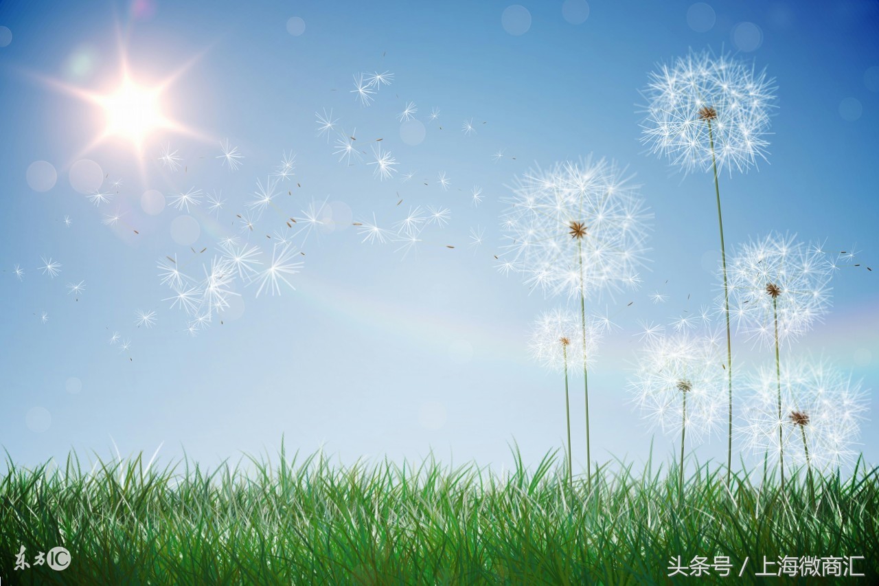 ICANIDO我行我述—如何帮助轻度智障学生成功就业