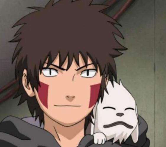 火影里凯的通灵兽是什么,火影通灵兽升级超过3只