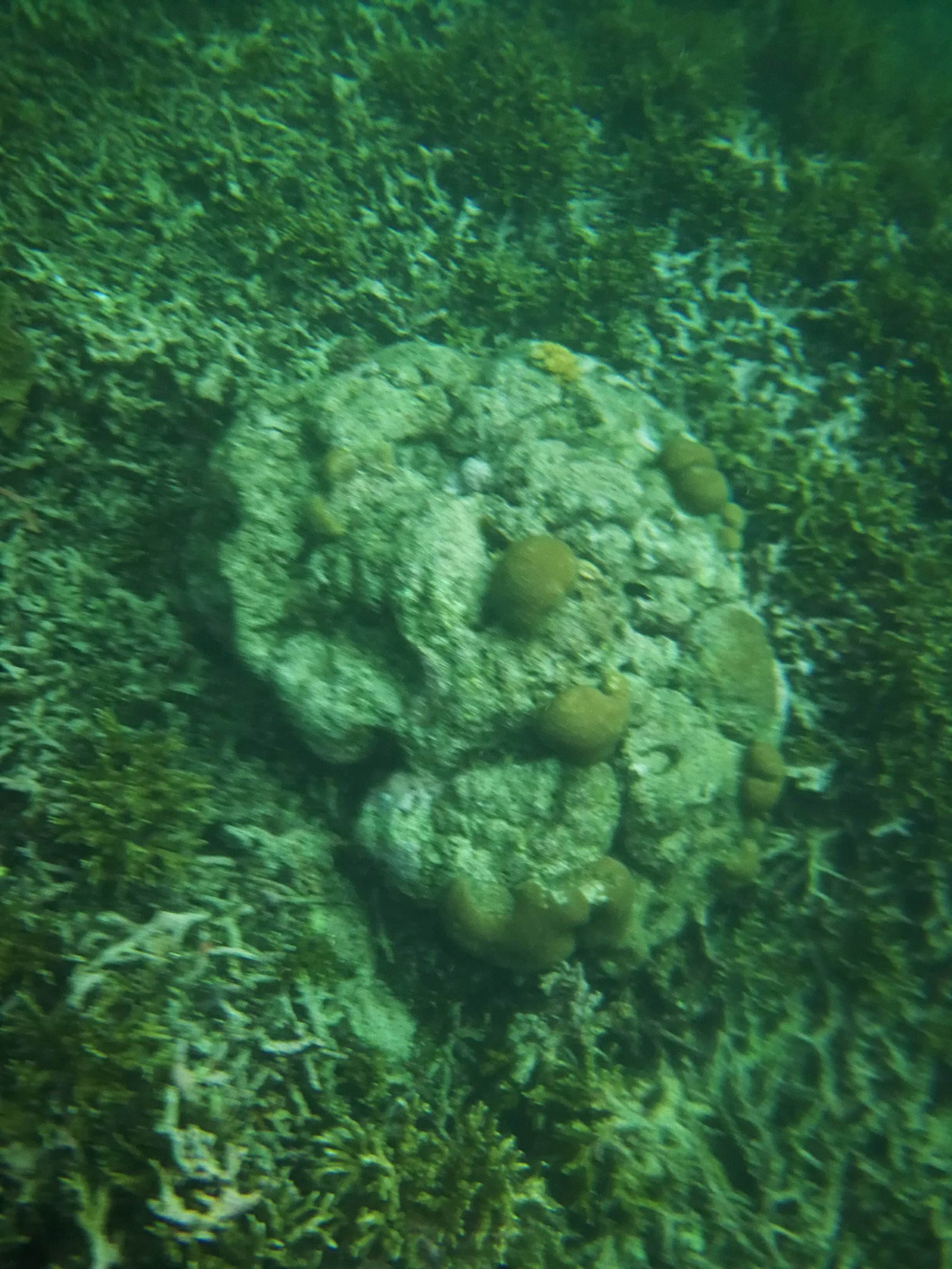 沙巴自由行超详细攻略,第一次去沙巴订的酒店怎么样