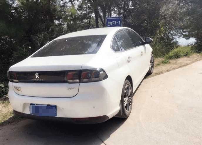 标致车308质量怎样,标致308最大的缺点是什么
