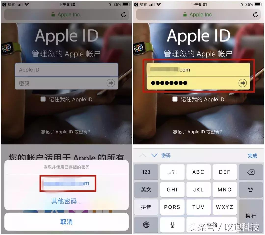 平板appleid忘记密码怎么办,平板appleid密码忘了怎么办