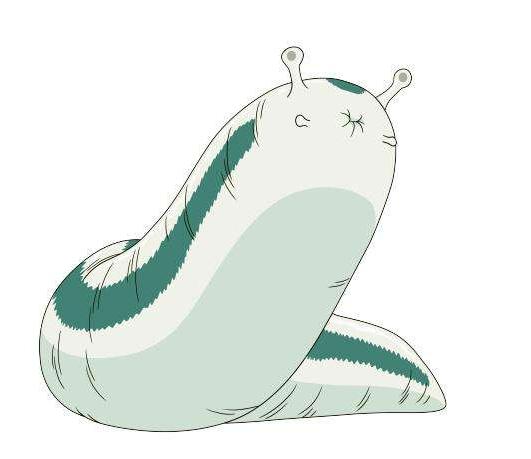 火影里凯的通灵兽是什么,火影通灵兽升级超过3只