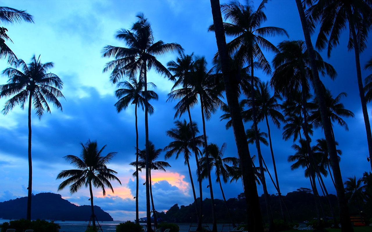 普吉岛购物必买的特产,普吉岛711购物必买