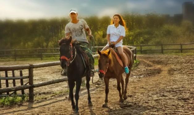 南京必去10家最美民宿客栈,南京周边民宿排行榜前十名