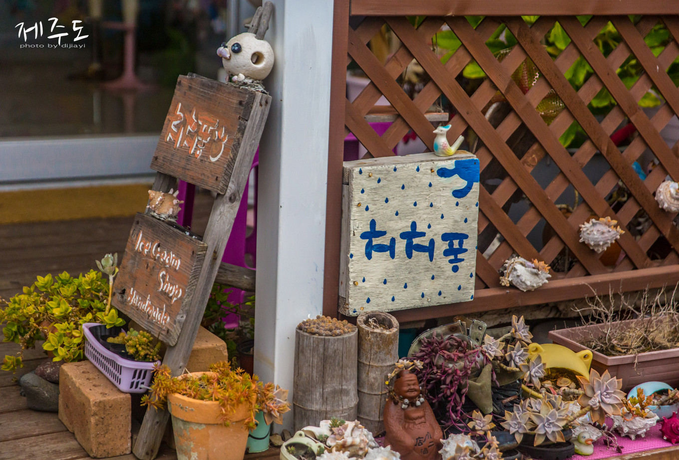 济州岛著名旅游景点,济州岛必游旅游景点推荐