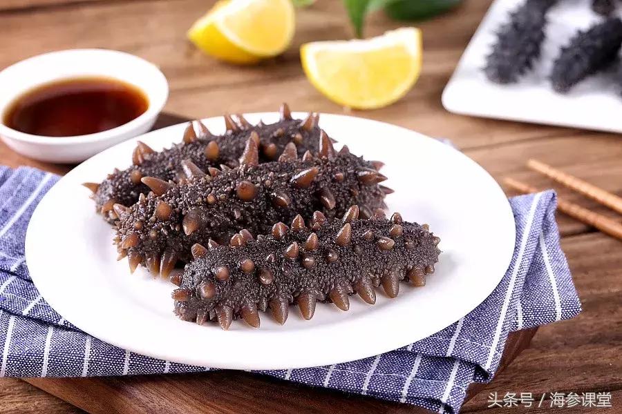 什么产地的海参最好,海参产地大揭秘哪里海参最好
