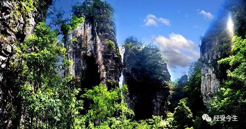 伊蕾：大智者李发模与十二背后之恋