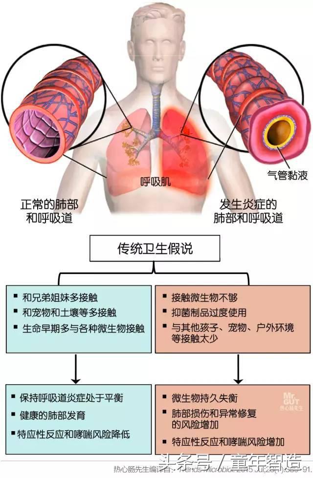 科学养娃真的科学么,科学有用常识小知识