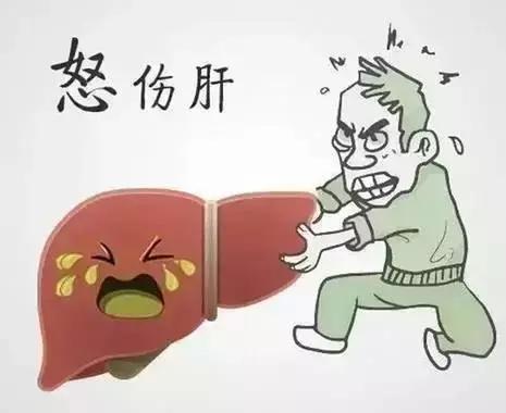 生气时你的身体在干啥,生气的时候内部器官疼