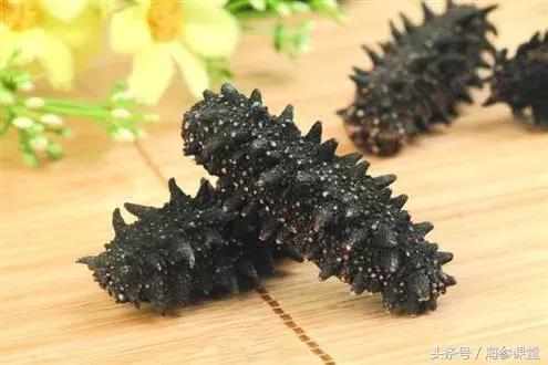 什么产地的海参最好,海参产地大揭秘哪里海参最好