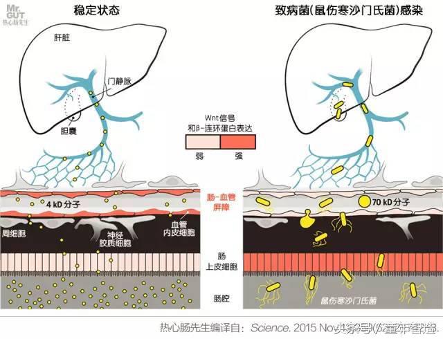科学养娃真的科学么,科学有用常识小知识