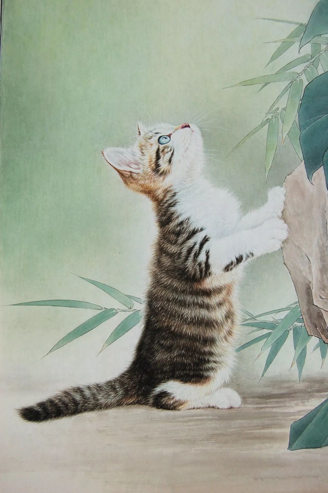 邢诚爱工笔猫扑蝶画法,邢诚爱工笔画猫白描底稿