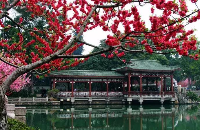 12月机票购买,12月低价机票