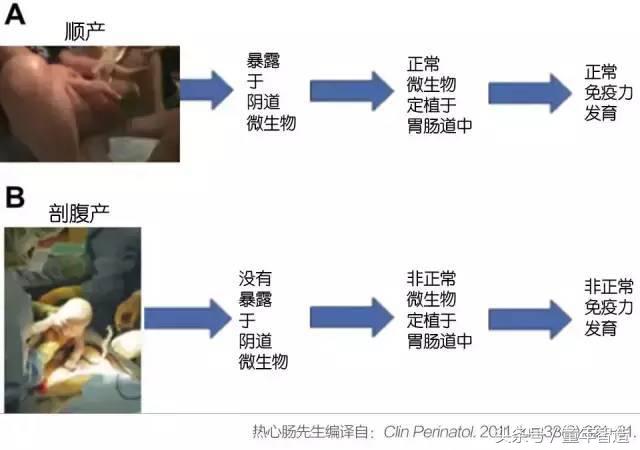 科学养娃真的科学么,科学有用常识小知识