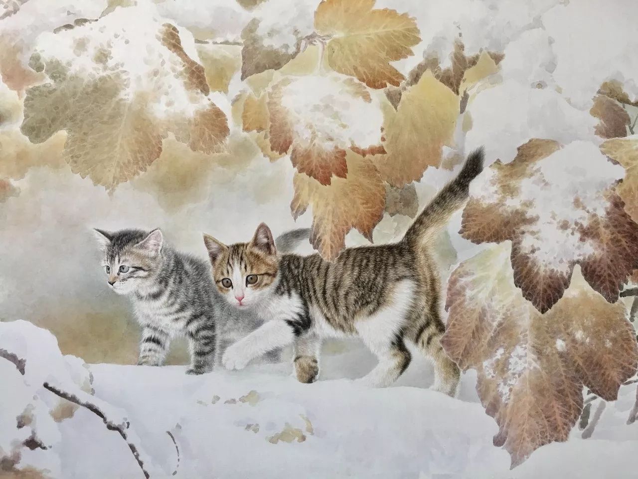 邢诚爱工笔猫扑蝶画法,邢诚爱工笔画猫白描底稿