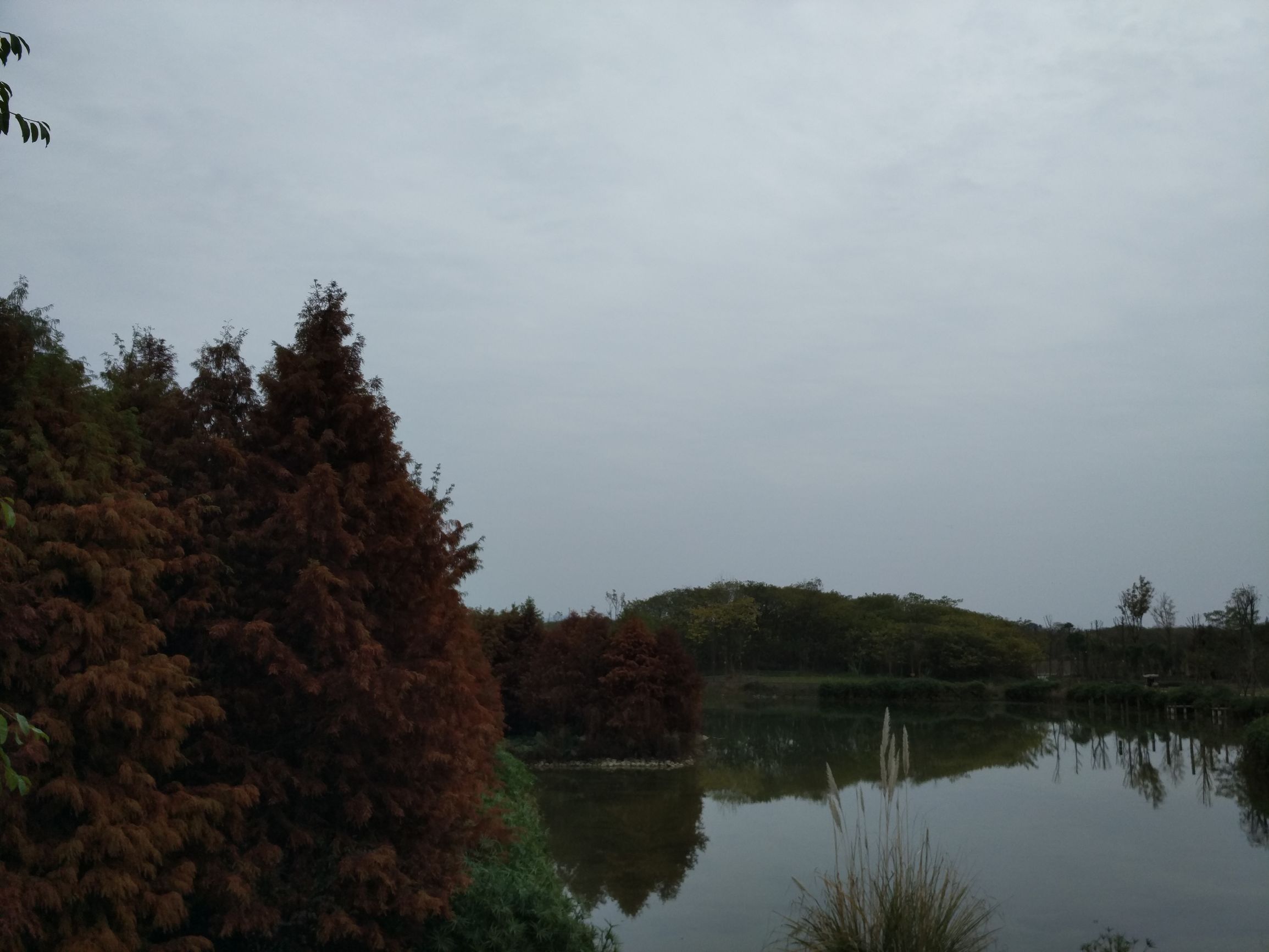 副词比较级含义,副词的比较级和最高级造句