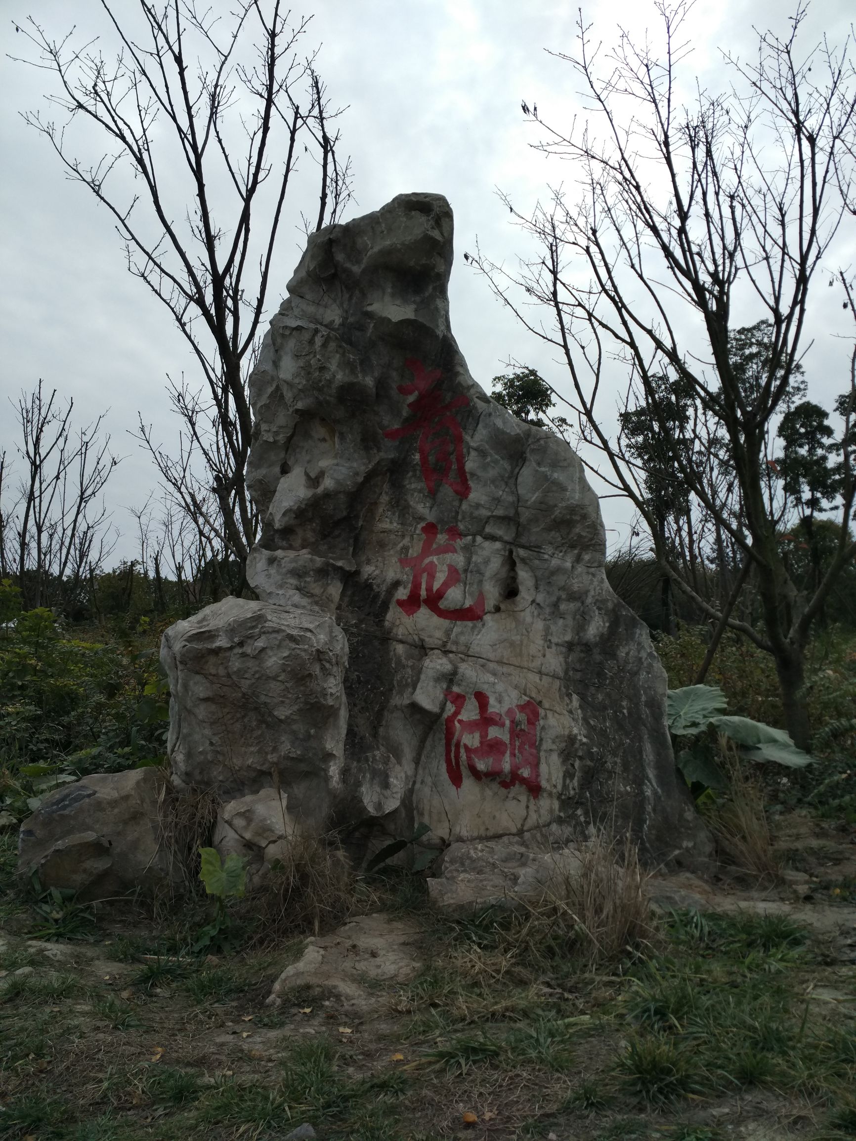 副词比较级含义,副词的比较级和最高级造句