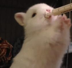 冬天这么冷就多互相温暖吧,冬天这么冷我们互相取暖