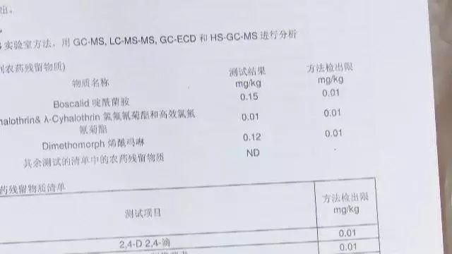 幼儿吃草莓后呕吐怎么办,孩子吃草莓呕吐怎么缓解