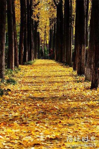 杭州哪里适合带小孩子去玩,杭州值得带孩子去玩的地方