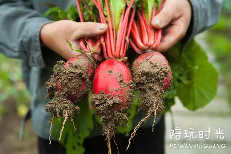 杭州哪里适合带小孩子去玩,杭州值得带孩子去玩的地方