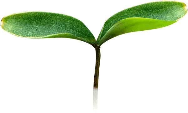 宫颈癌疫苗9价下午可以打吗,宫颈癌十三价疫苗价格